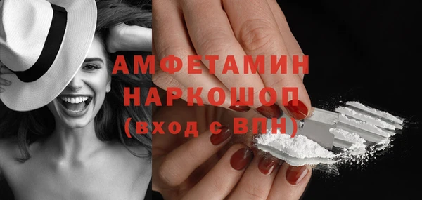 прущие грибы Алзамай