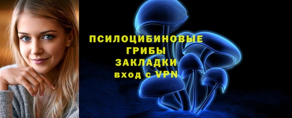 соль ск Алексеевка