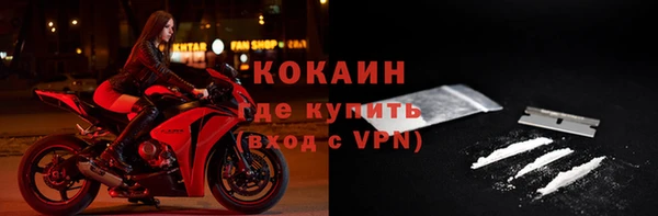 apvp Алексин