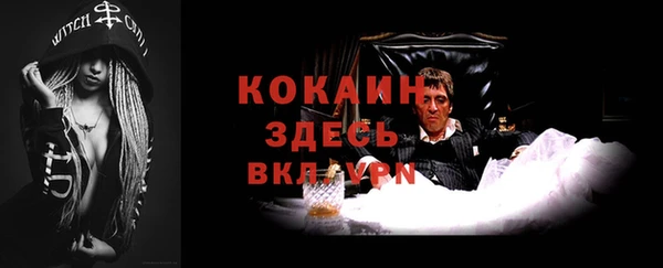 соль ск Алексеевка