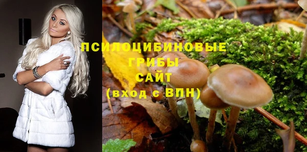 соль ск Алексеевка