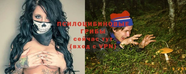 прущие грибы Алзамай