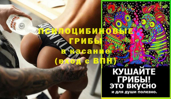 apvp Алексин